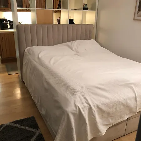 Executive 2 Apartamento Bad Gastein