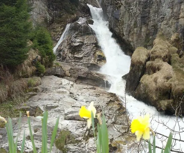 Executive 2 Lägenhet